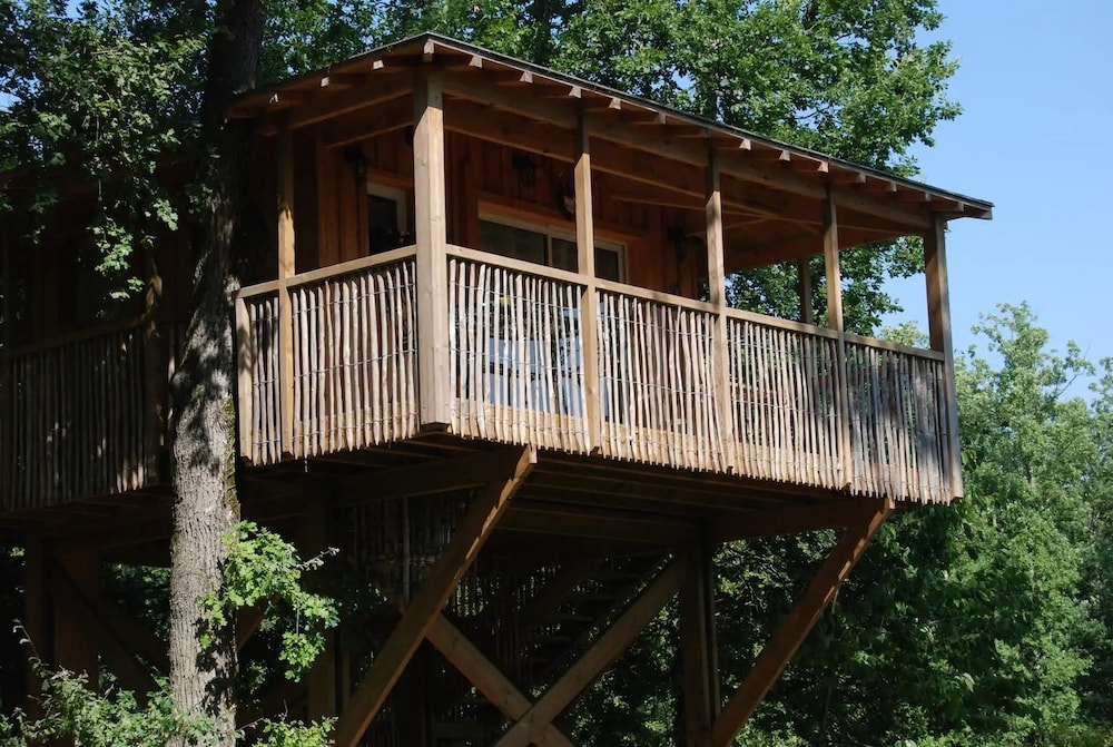 Tree House, 1 Double Bed photo 2