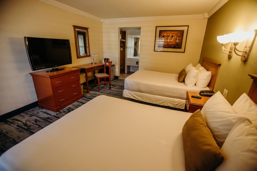 Standard Double Room, 2 Double Beds - Photo 4