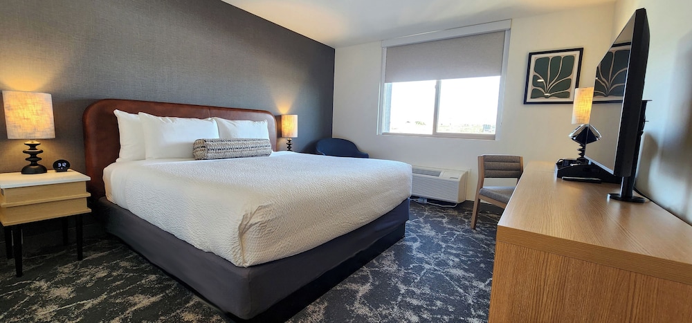 Studio, 1 King Bed, City View