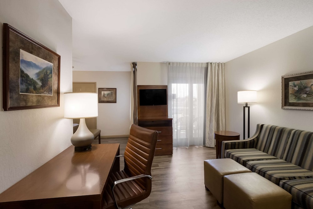 Room, 1 King Bed with Sofa bed, Non Smoking, Jetted Tub (Upgrade) photo 3