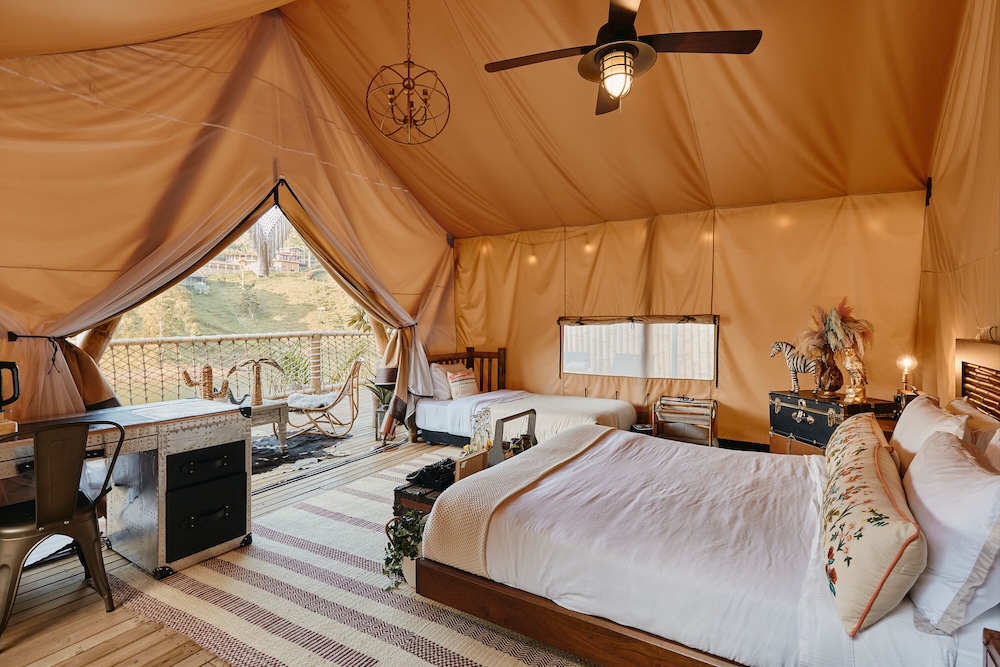 Safari Lux 1 - Photo 18