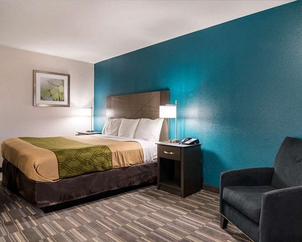 Single Room, 1 King Bed, Non Smoking photo 3