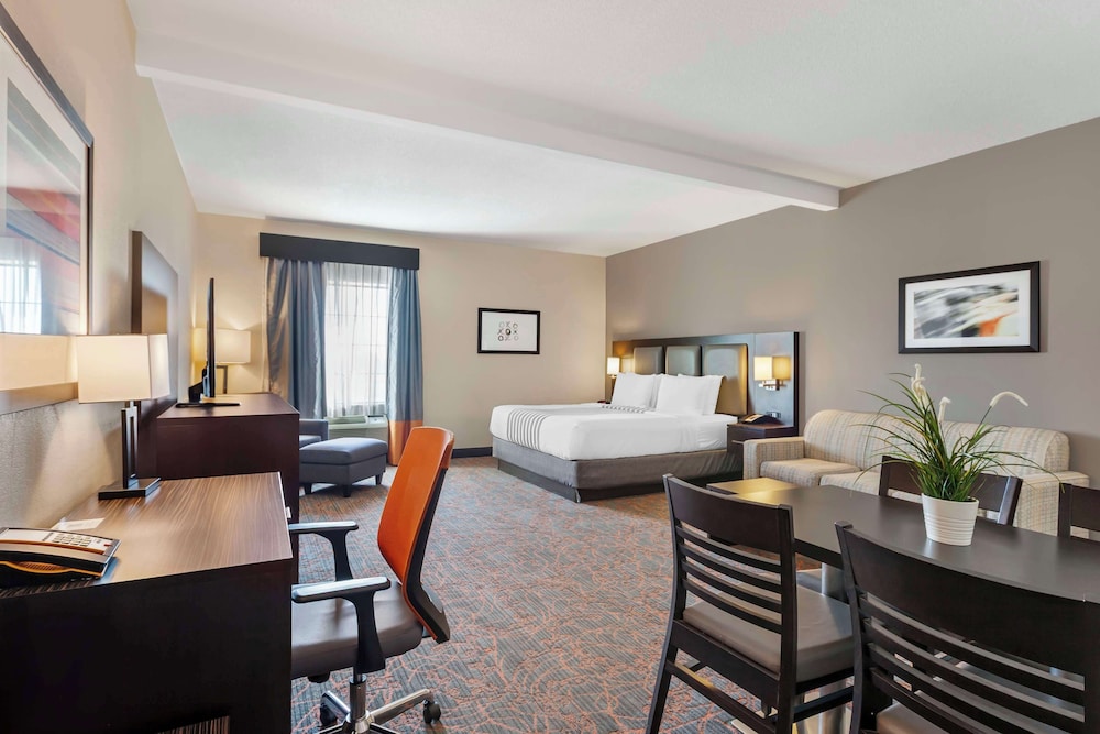 Executive Room, 1 King Bed, Non Smoking, Refrigerator & Microwave (Queen sofabed;Larger Room) - Photo 8