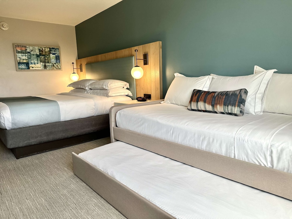 Family Studio Suite, Multiple Beds (1 King Bed, Sofa Bed and Trundle) photo 3