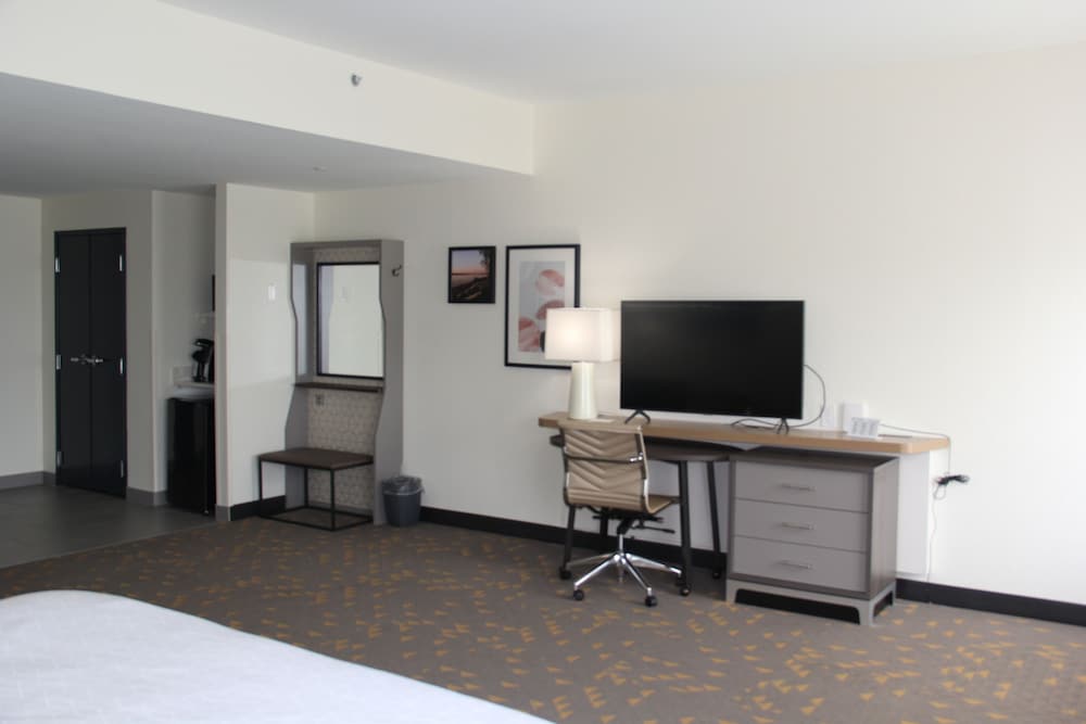 Premium Room, 1 King Bed - Photo 3