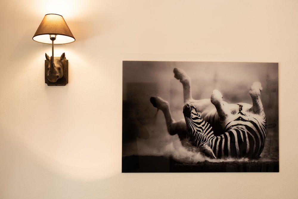 Safari Room photo 3