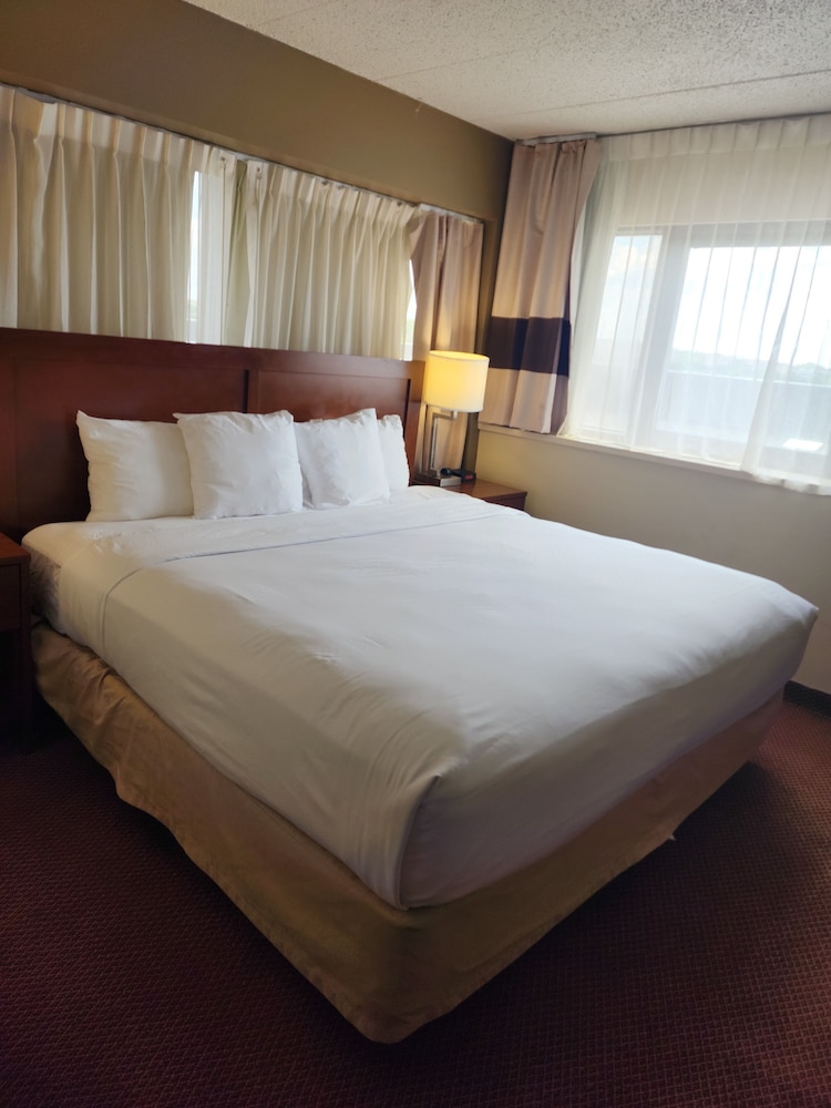 Standard Room, 1 King Bed, Non Smoking - Photo 5