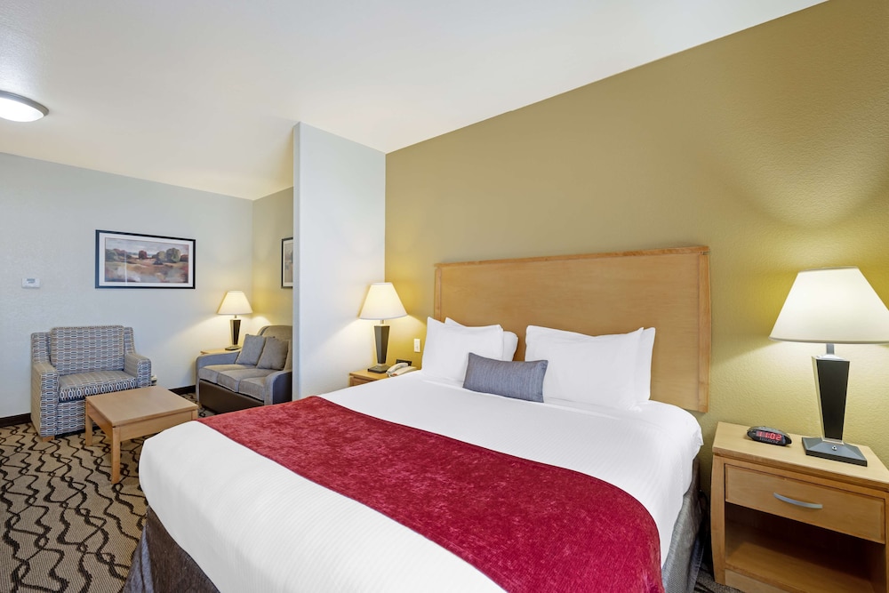 Suite, 1 King Bed, Non Smoking, Refrigerator & Microwave (with Single Sofabed) photo 1