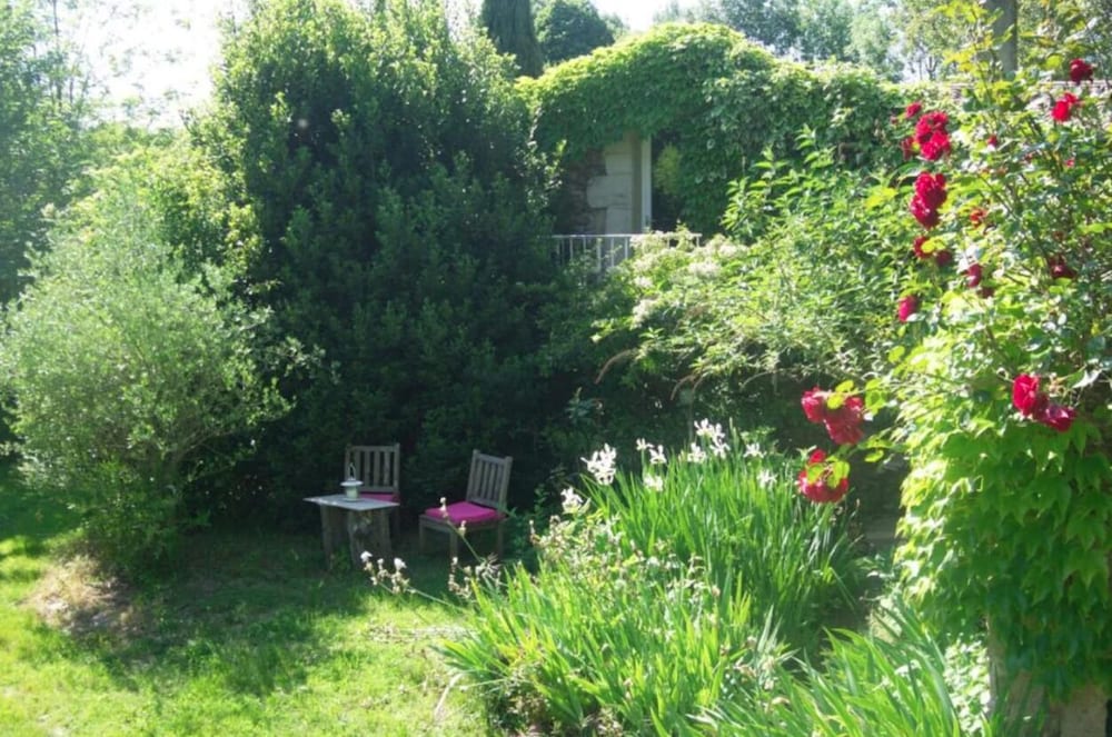 Classic Room, Garden View photo 3