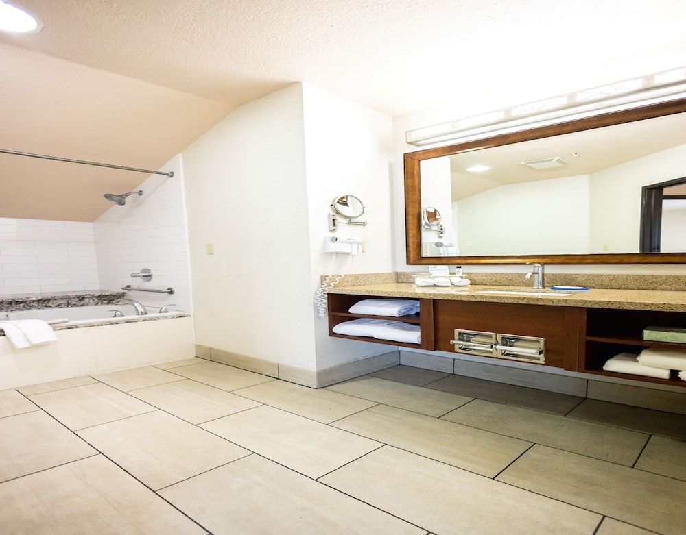 Suite, 1 King Bed, Jetted Tub - Photo 11