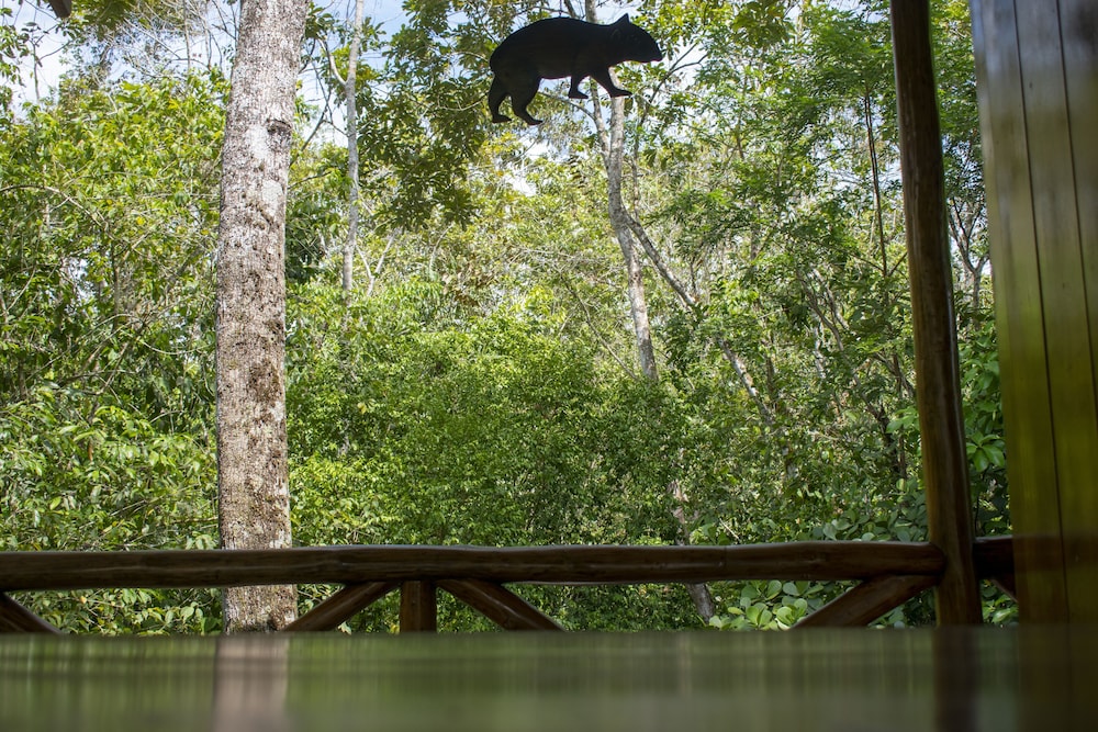 The Agouti Tree House photo 3