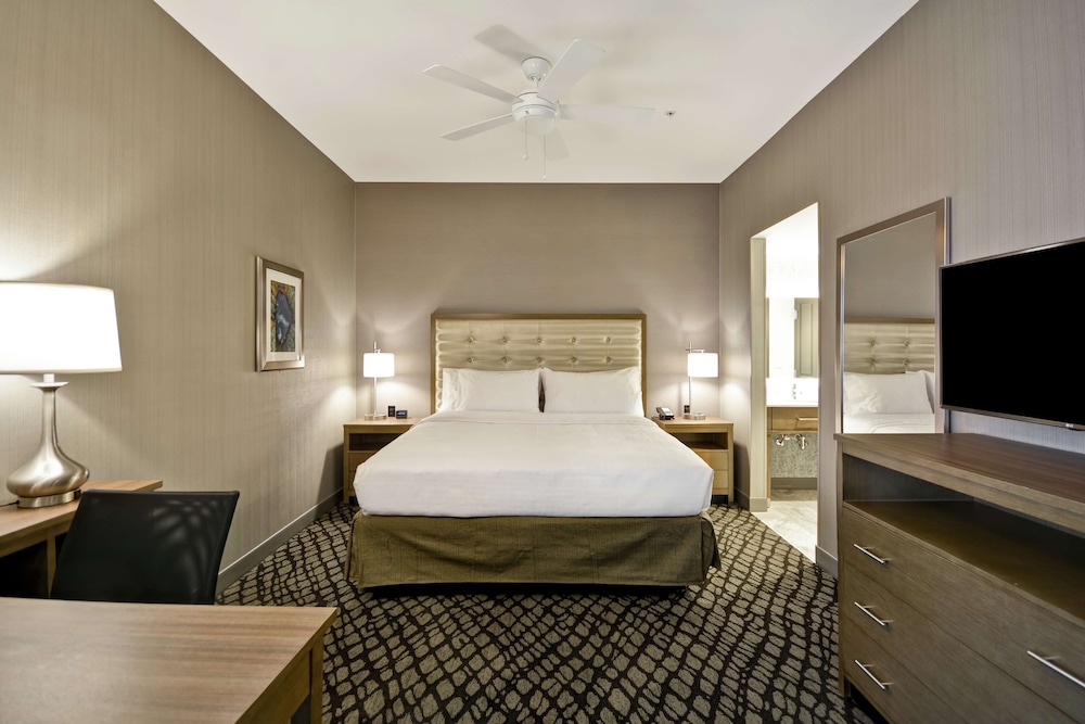 Studio Suite, 1 King Bed, Non Smoking photo 3