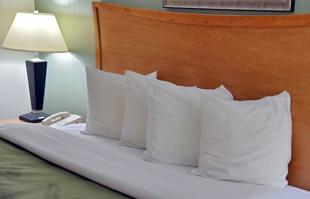 Business Suite, 1 King Bed, Non Smoking - Photo 13