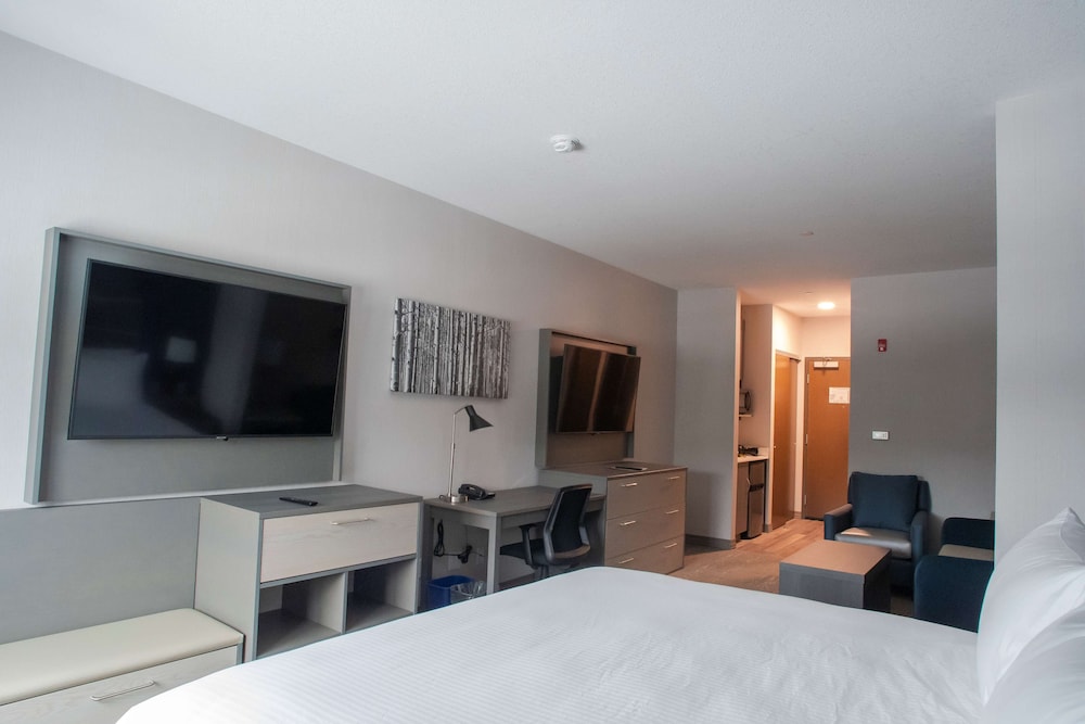 Standard Room, 1 King Bed, Non Smoking, Refrigerator & Microwave (with Sofabed) - Photo 1
