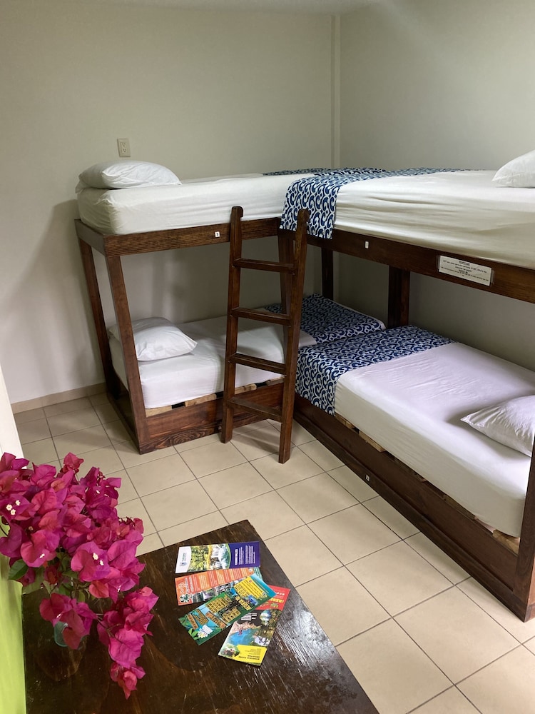 Exclusive Shared Dormitory