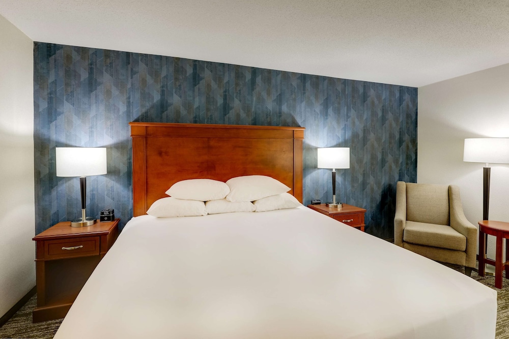 Deluxe Room, 1 King Bed, Accessible, Refrigerator & Microwave (Tub, Upper Floor) photo 3