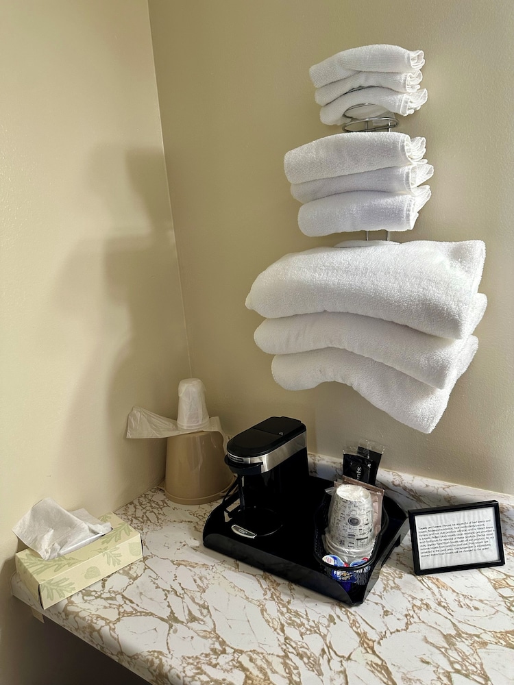 Standard Double Room, 2 Double Beds, Kitchenette, photo 6