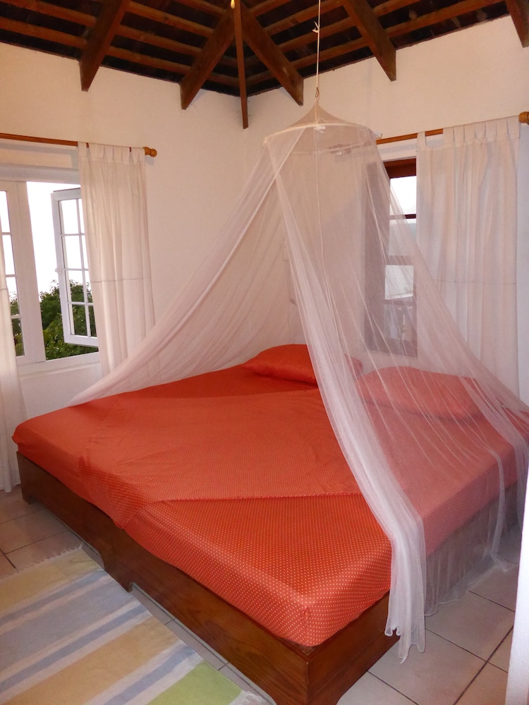 Basic Double Room, Garden View