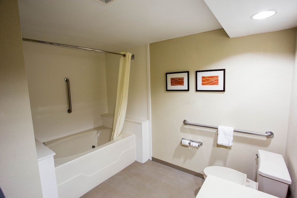 Suite, Accessible, Non Smoking - Photo 4
