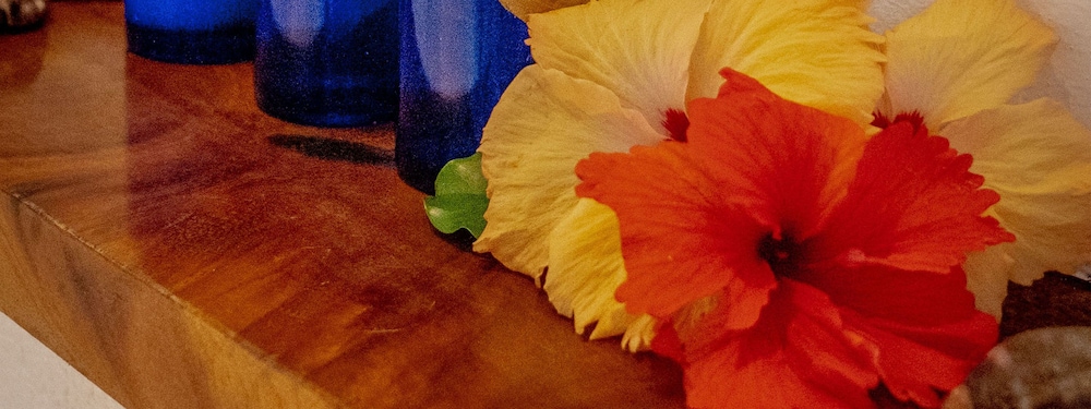 Bungalow, Garden Area