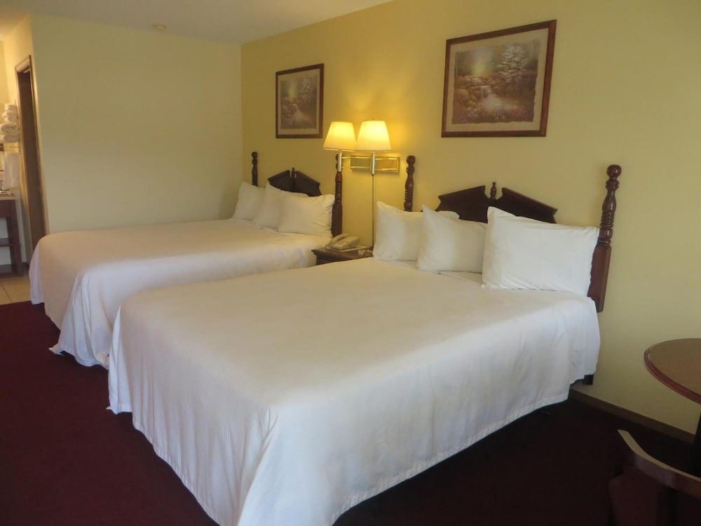 Basic Double Room photo 1