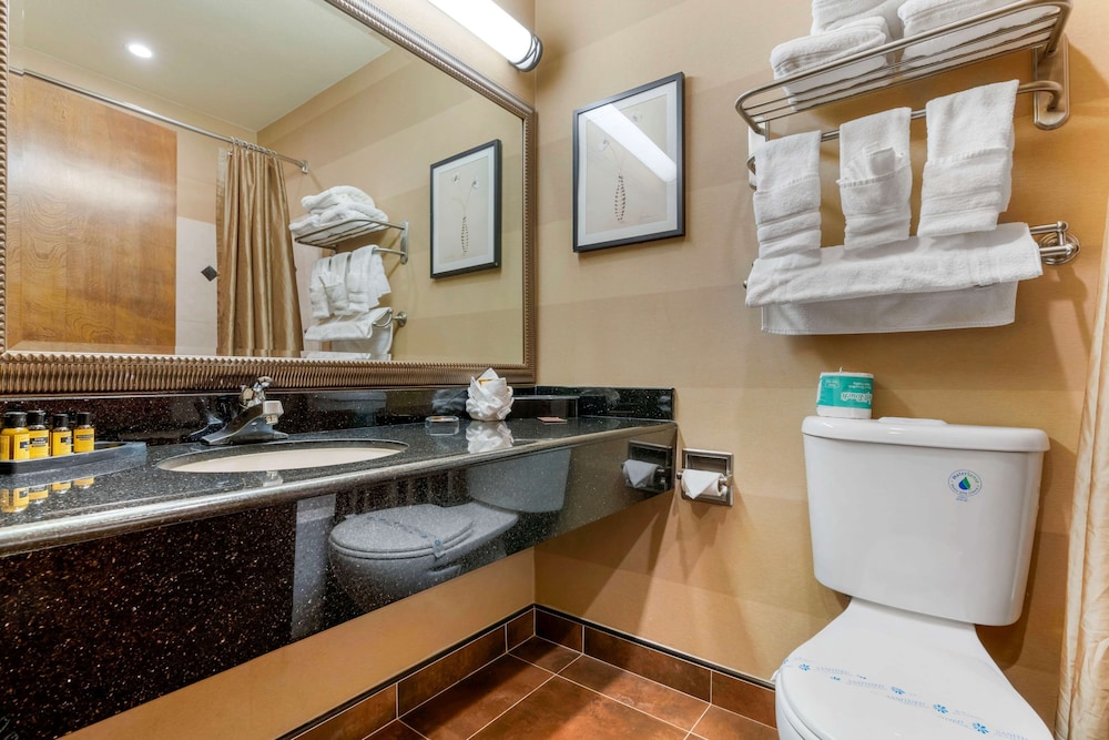 Standard Room, 2 Queen Beds, Non Smoking, Refrigerator & Microwave - Photo 11
