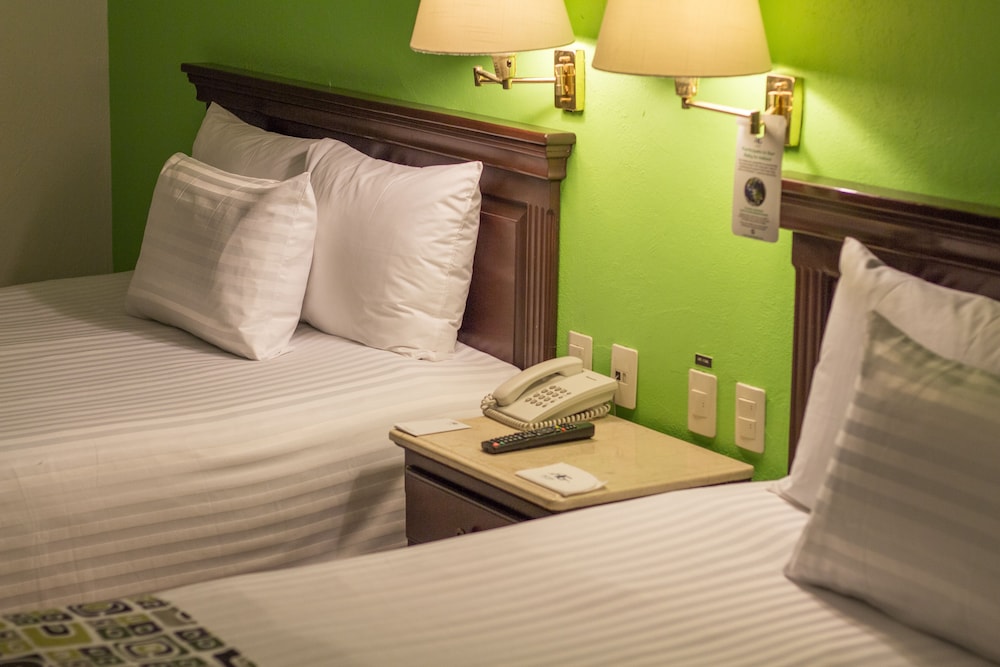 Standard Double Room - Photo 5