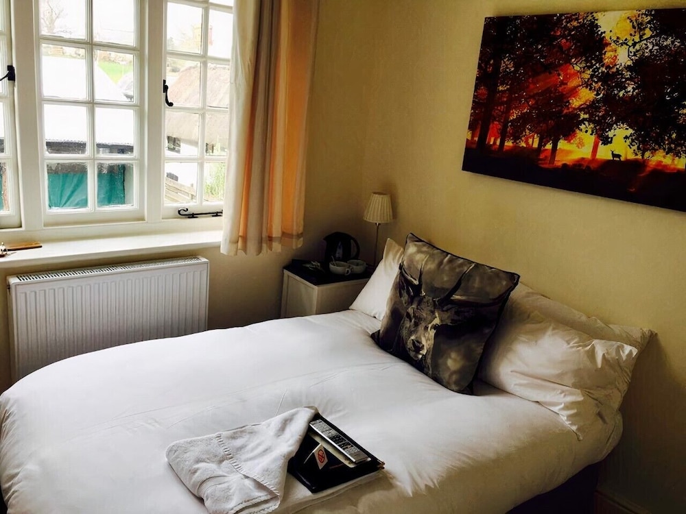 Basic Room, Garden View