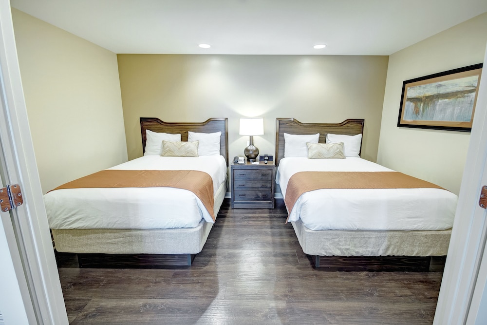 Suite, 1 Bedroom, Kitchenette photo 3