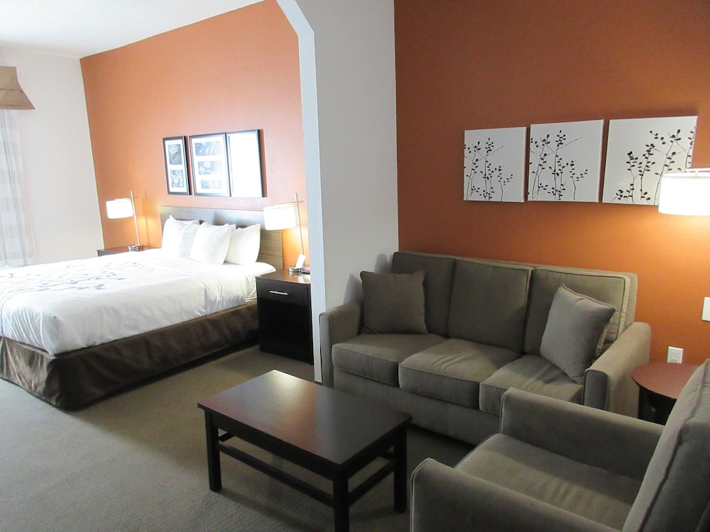 Suite, 1 King Bed with Sofa bed, Accessible, Non Smoking - Photo 3