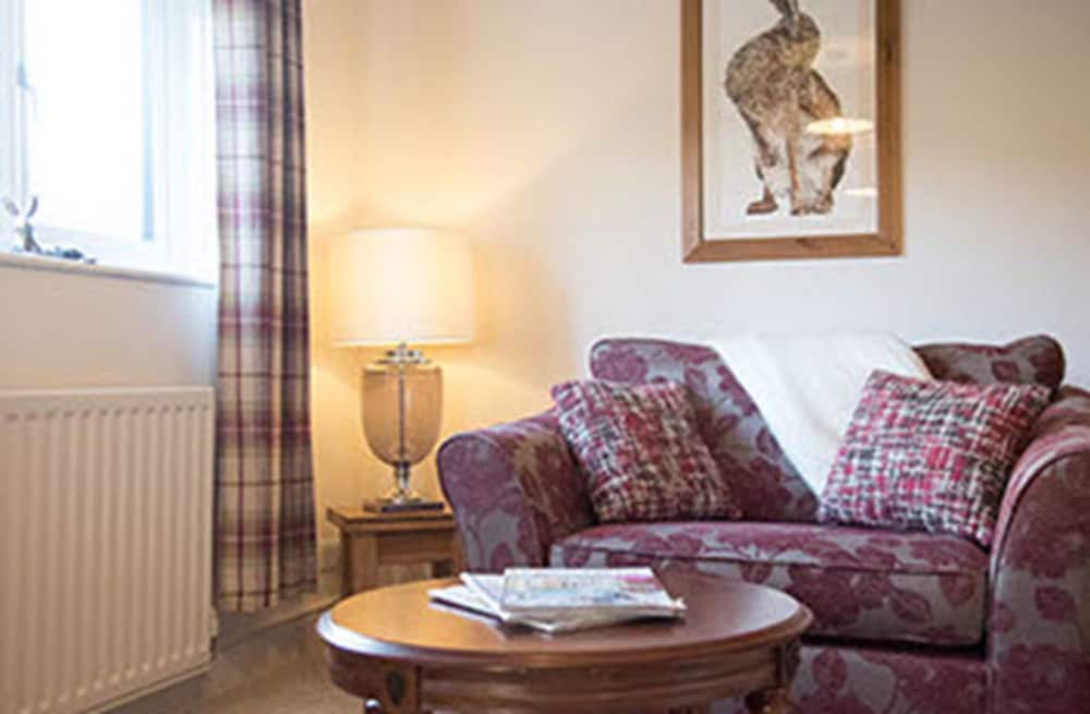 Double Room, 1 King Bed photo 2