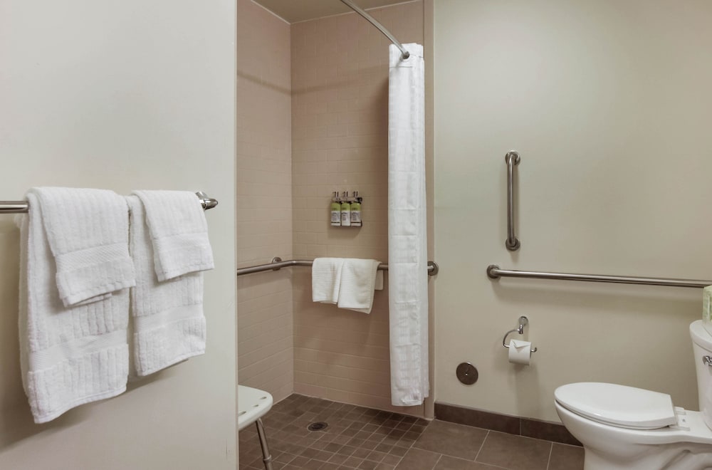 Studio Suite, 1 Queen Bed, Mobility Accessible (Mobility, Roll-In Shower) photo 3