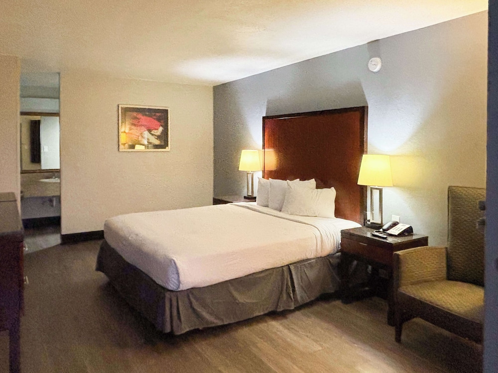 Deluxe Room, 1 King Bed, Smoking, Refrigerator & Microwave - Photo 1