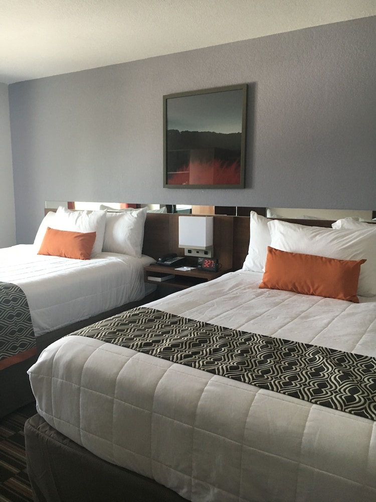 Microtel Inn & Suites by Wyndham Niagara Falls, Billede 7
