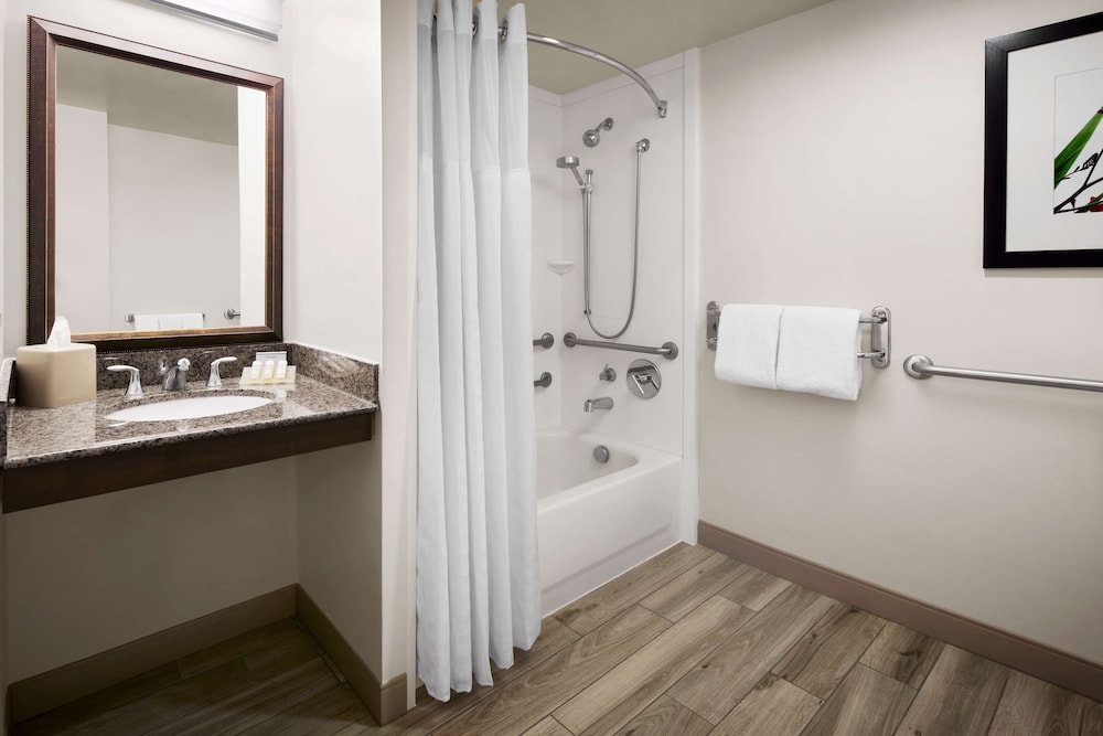 Room, 1 King Bed, Bathtub (Mobility & Hearing/Drinks & Snacks) - Photo 5