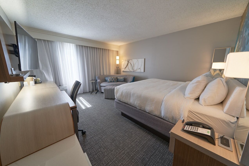 Room, 1 King Bed with Sofa bed (Mobility Accessible, Tub) photo 2