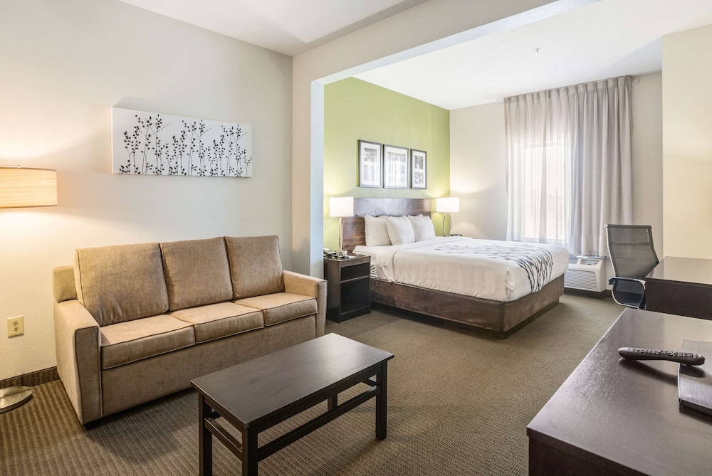 Suite, 1 King Bed with Sofa bed, Non Smoking photo 2