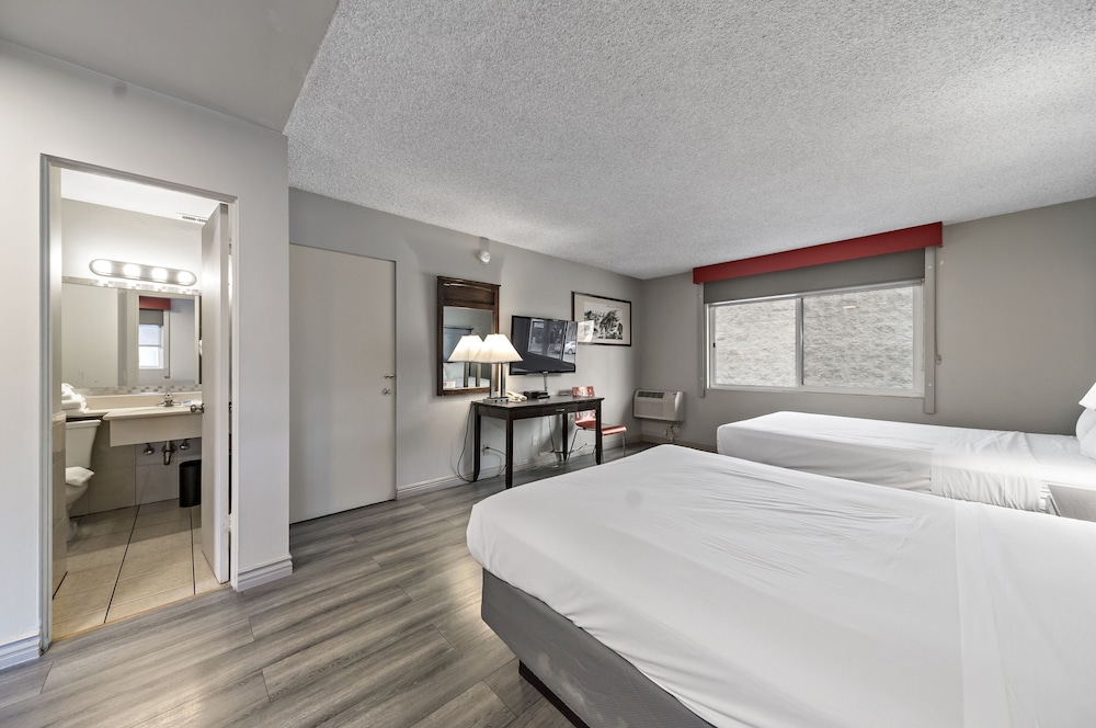 Basic Room, 2 Double Beds photo 1