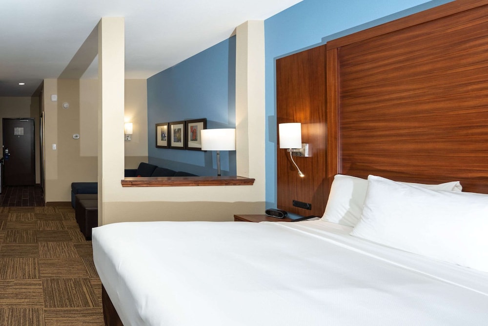 Suite, 1 King Bed with Sofa bed, Non Smoking (Wet Bar) - Photo 4
