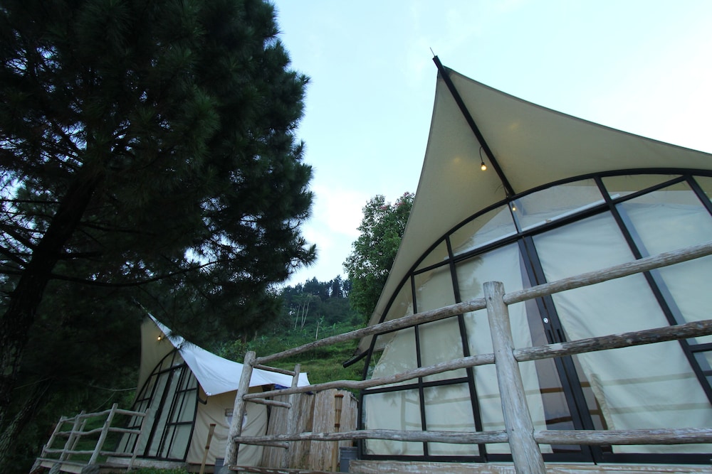 Camp Pinus photo 2