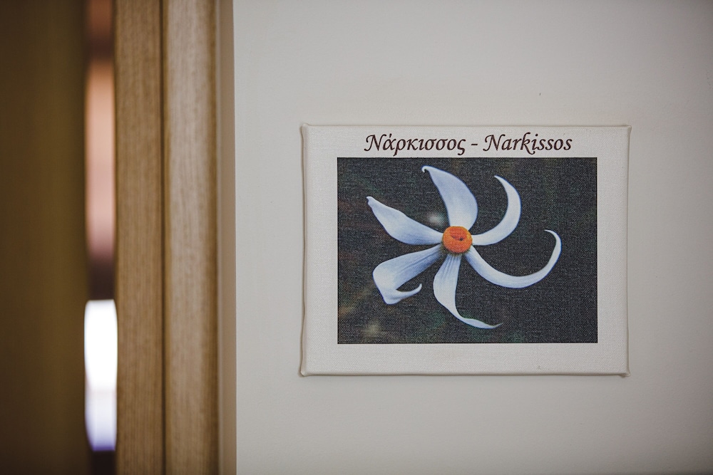 Standard Room - Narkisos photo 3