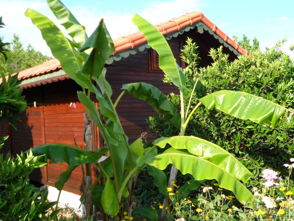Bungalow photo 2