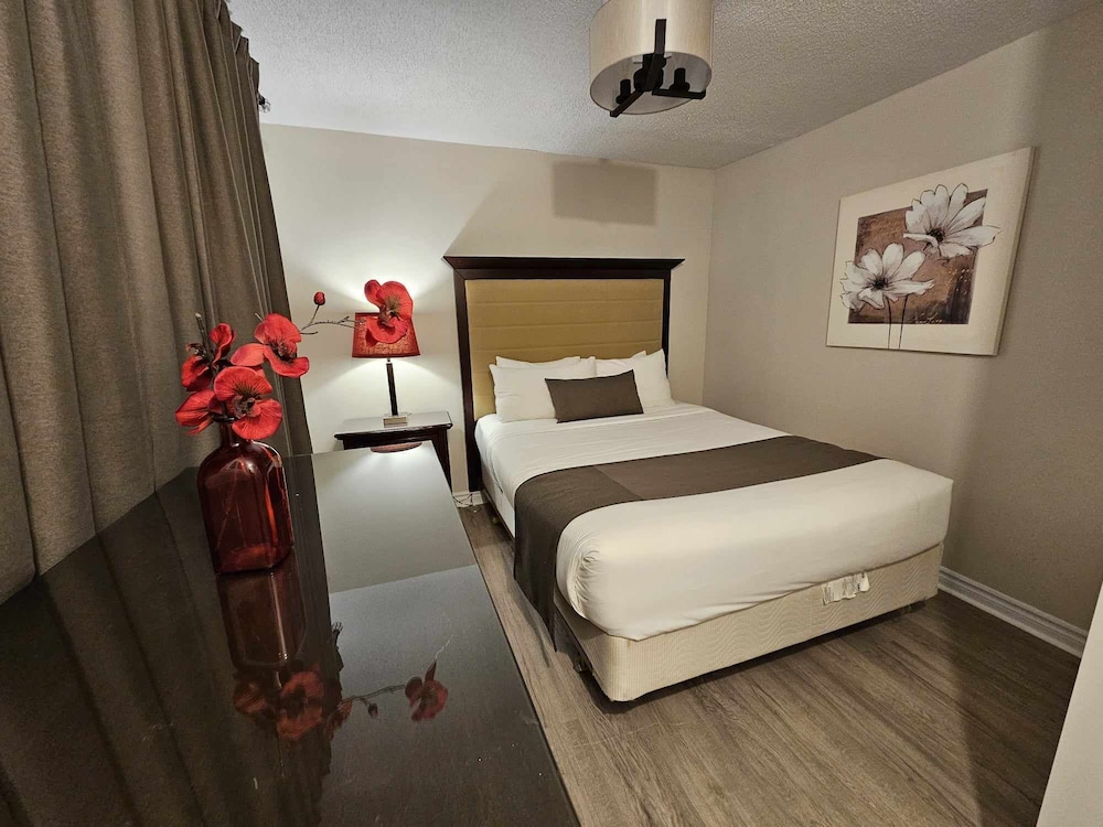 Suite #6 - 39 photo 1