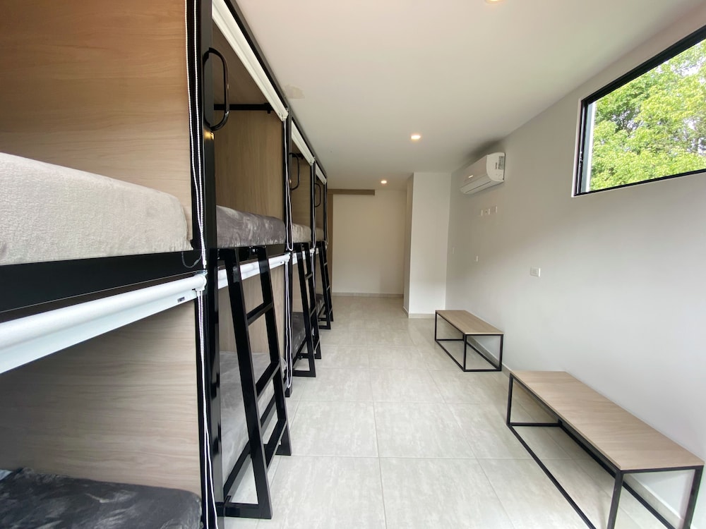 Shared Dormitory, 1 Double Bed, Mountain View photo 2