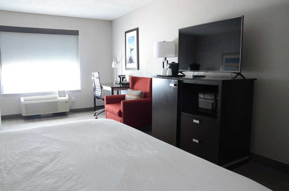 Suite, 1 King Bed, Non Smoking - Photo 1