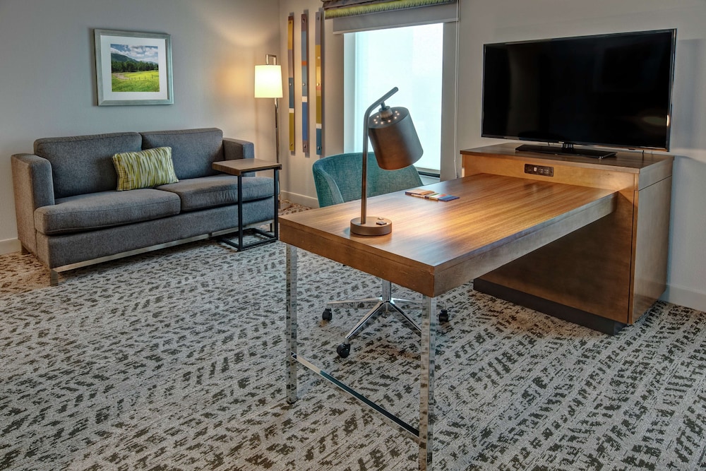 Suite, 1 King Bed, Refrigerator & Microwave (Wet bar) photo 1
