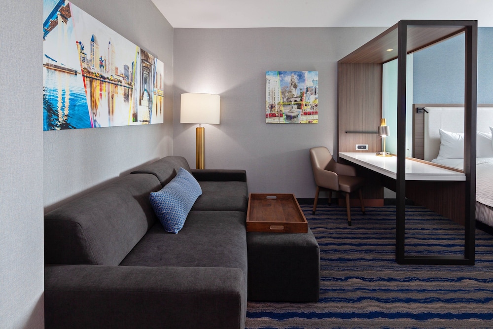 Suite, 1 King Bed (Hearing Accessible) photo 3