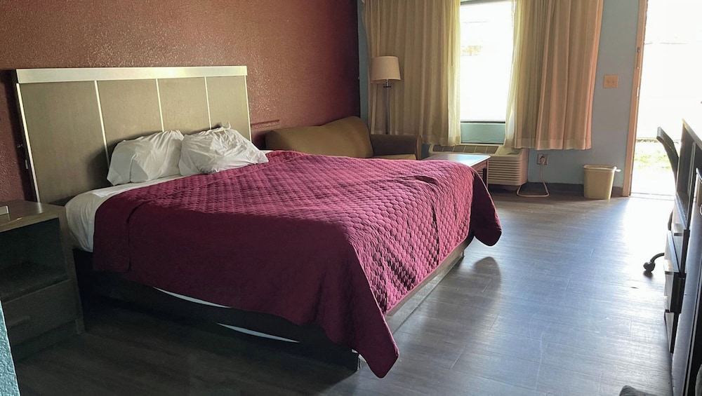 Standard Room, 1 King Bed, Non Smoking, Refrigerator & Microwave photo 3