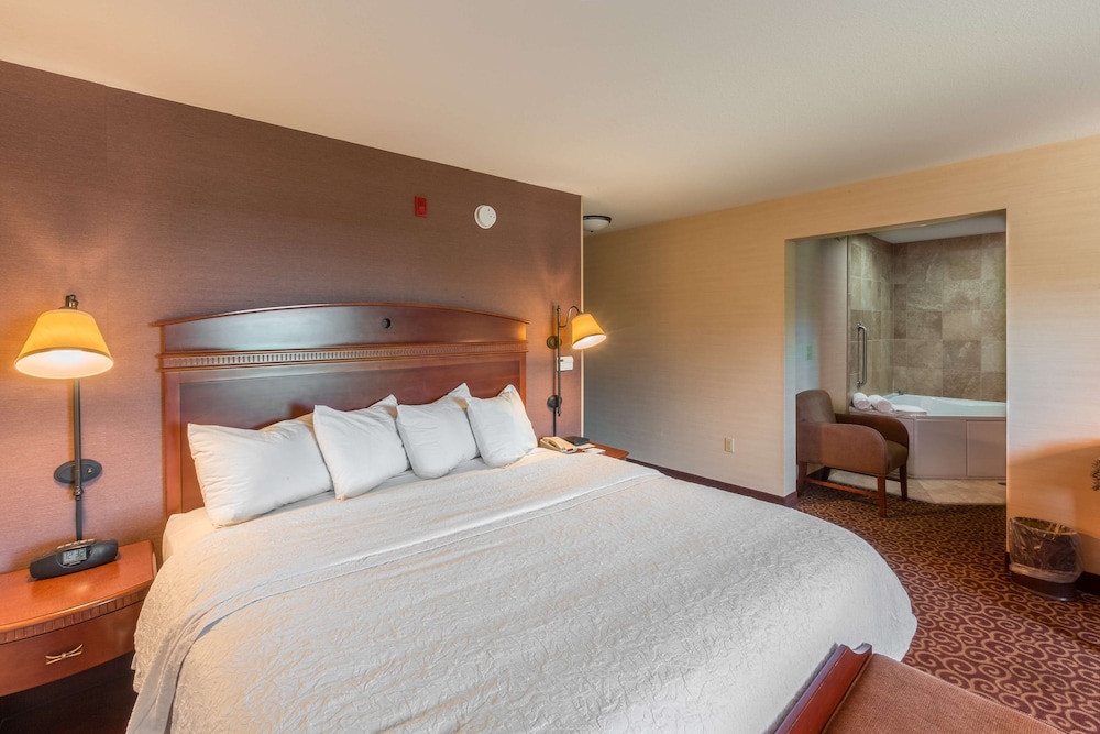 Room, 1 King Bed, Non Smoking - Photo 3