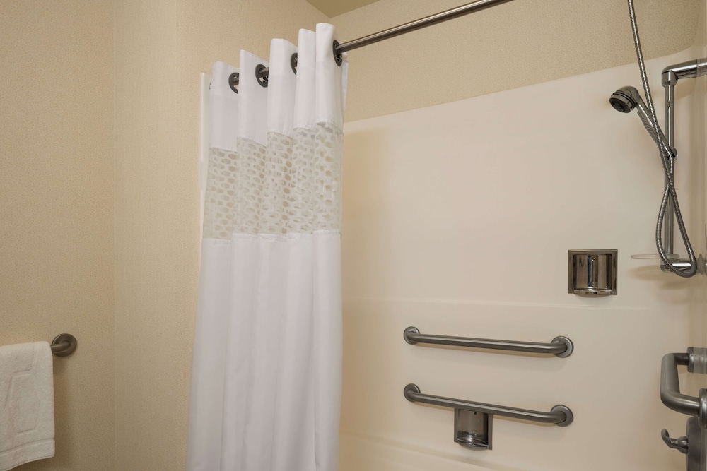 Room, 1 King Bed, Accessible (Mobility & Hearing, Roll-In Shower) - Photo 7